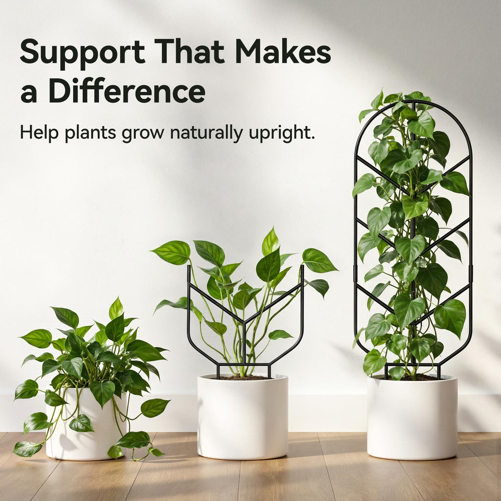 saffruff trellises styled on balcony showing compact decorative support