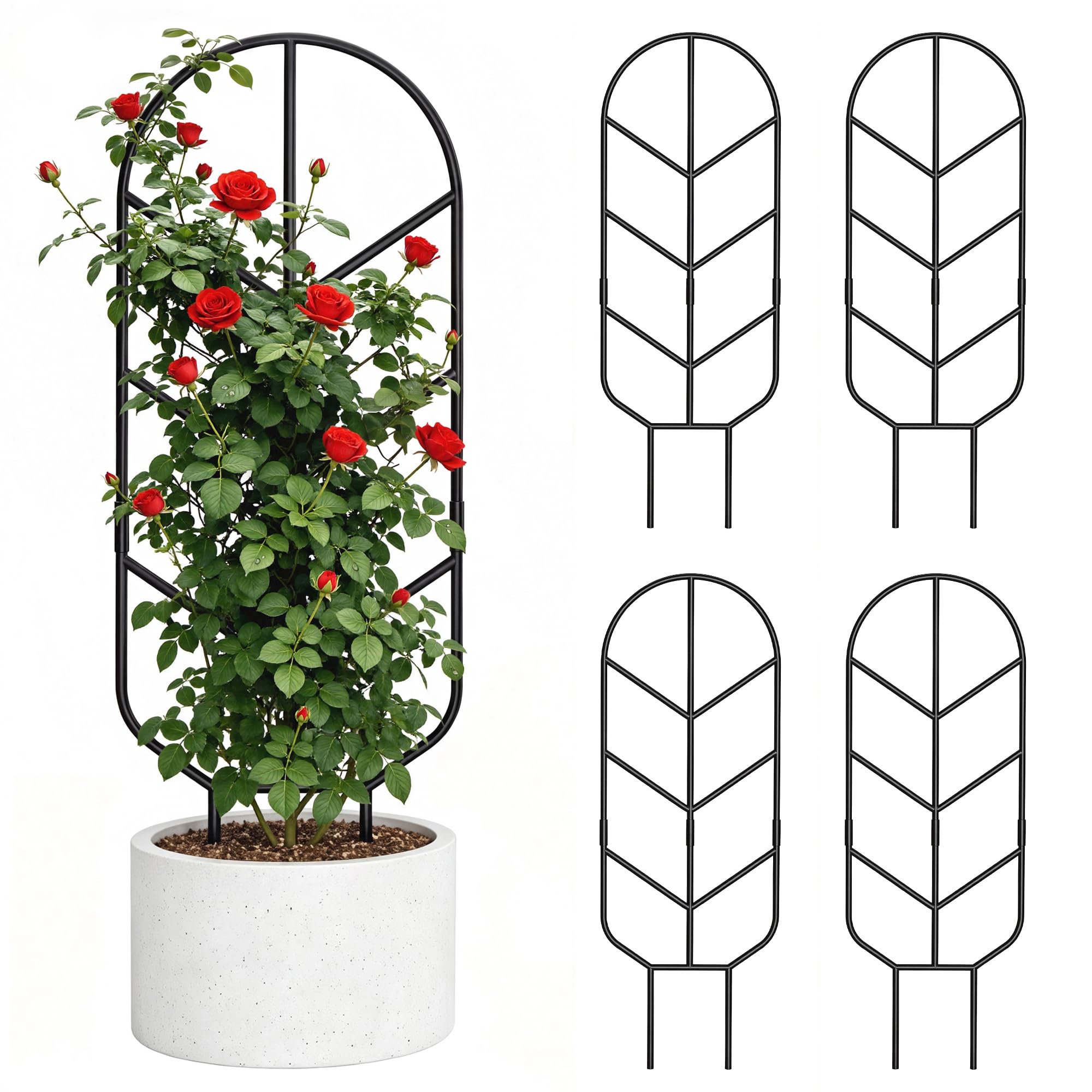 saffruff front view of four trellises showing tidy modern support
