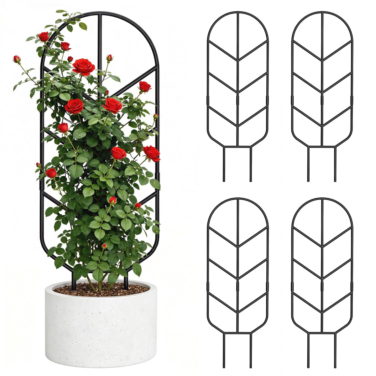 saffruff front view of four trellises showing tidy modern support
