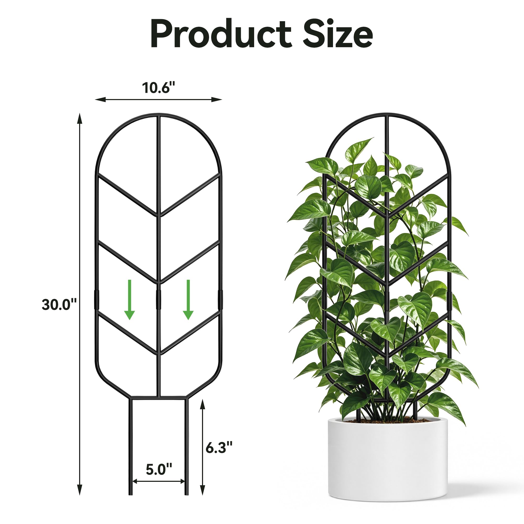 saffruff trellis next to common pot showing 30-inch scale