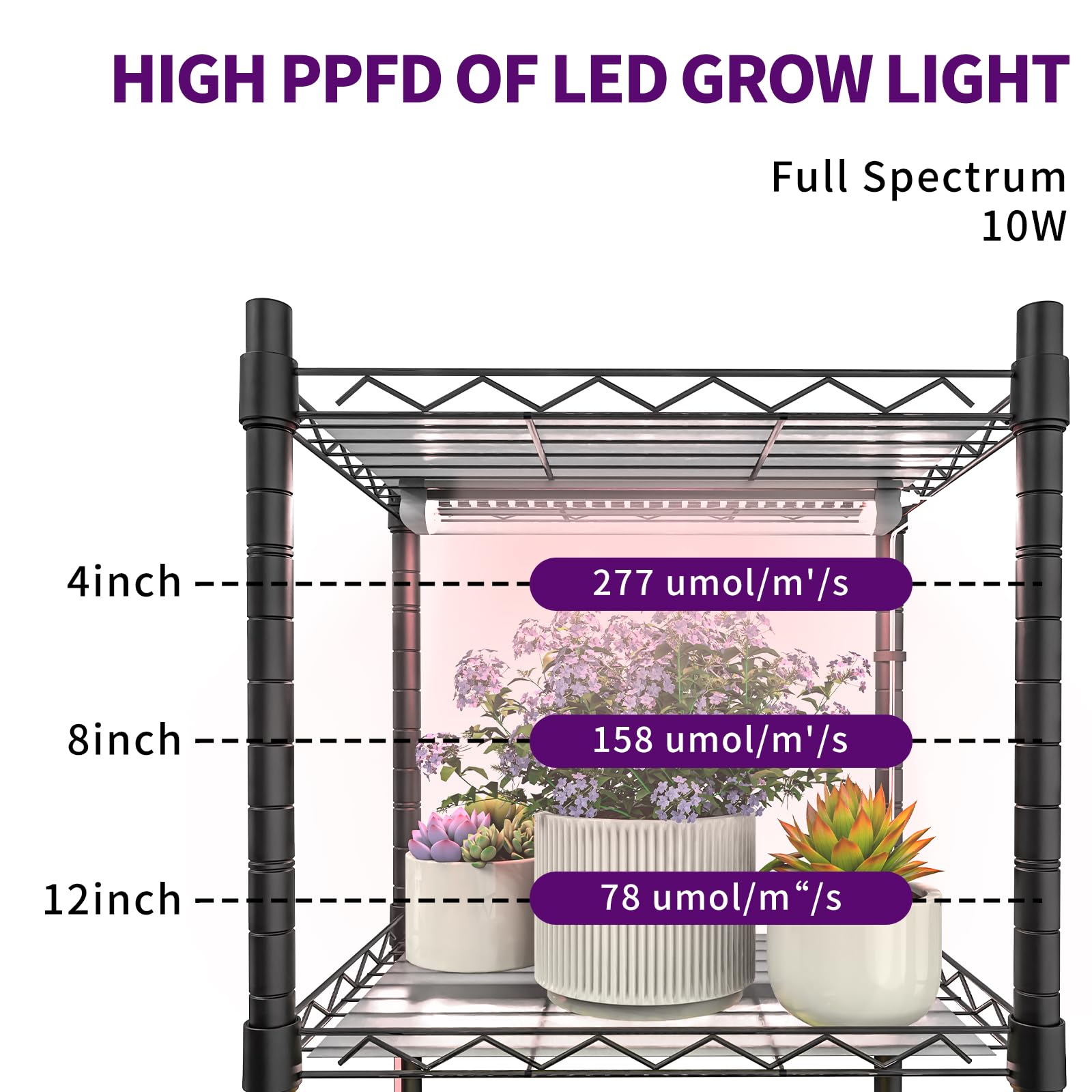 sagrynfp shelf iron grid detail securing pots and preventing slipping for safety