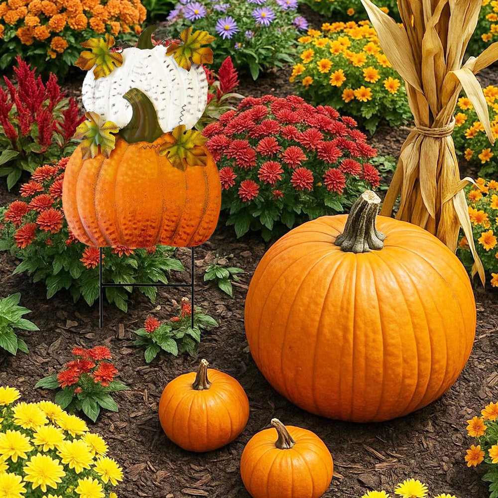 SAGUZOU lawn display lined along walkway for welcoming fall entrance