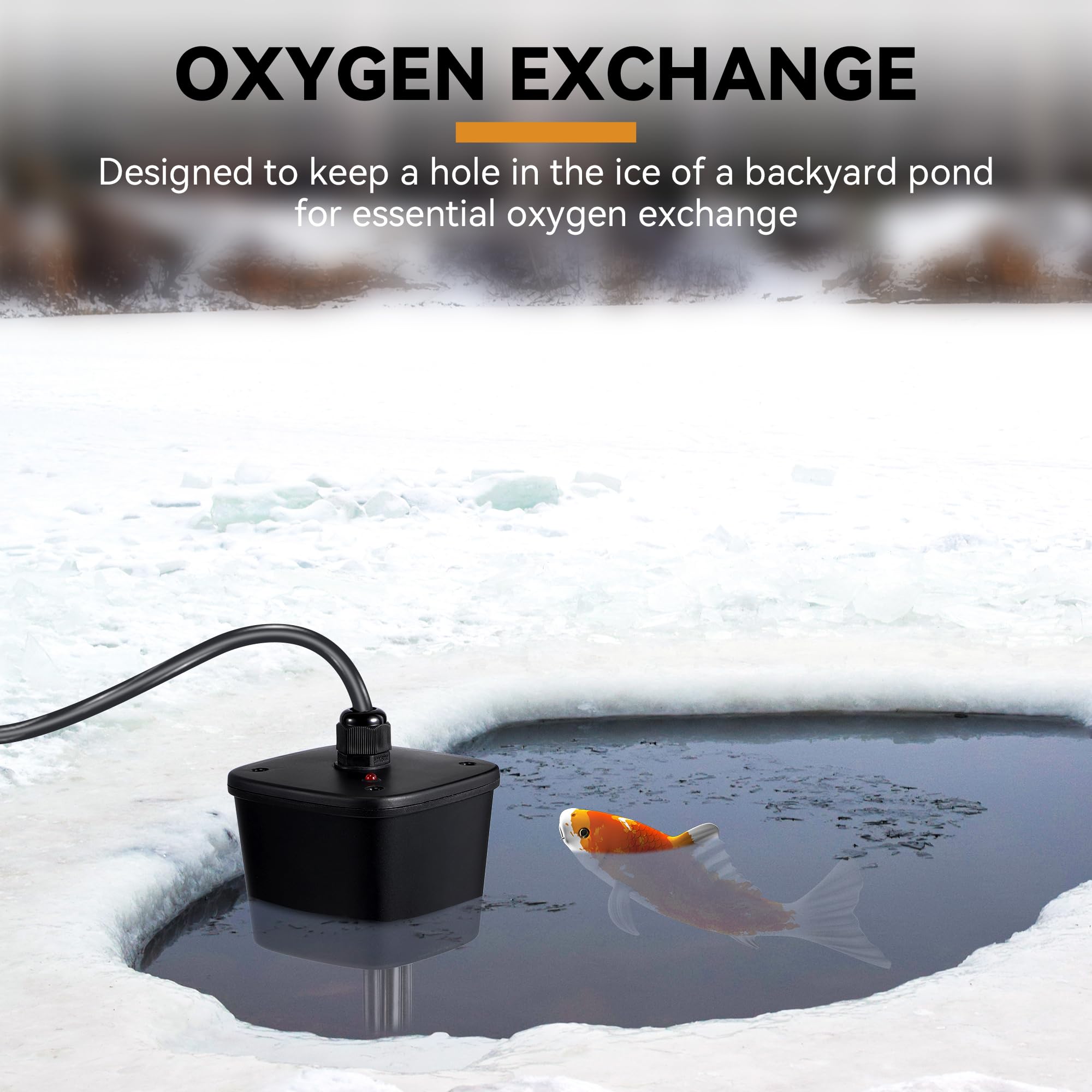 Saillong heater in koi pond illustrating maintained open ice-free area for fish
