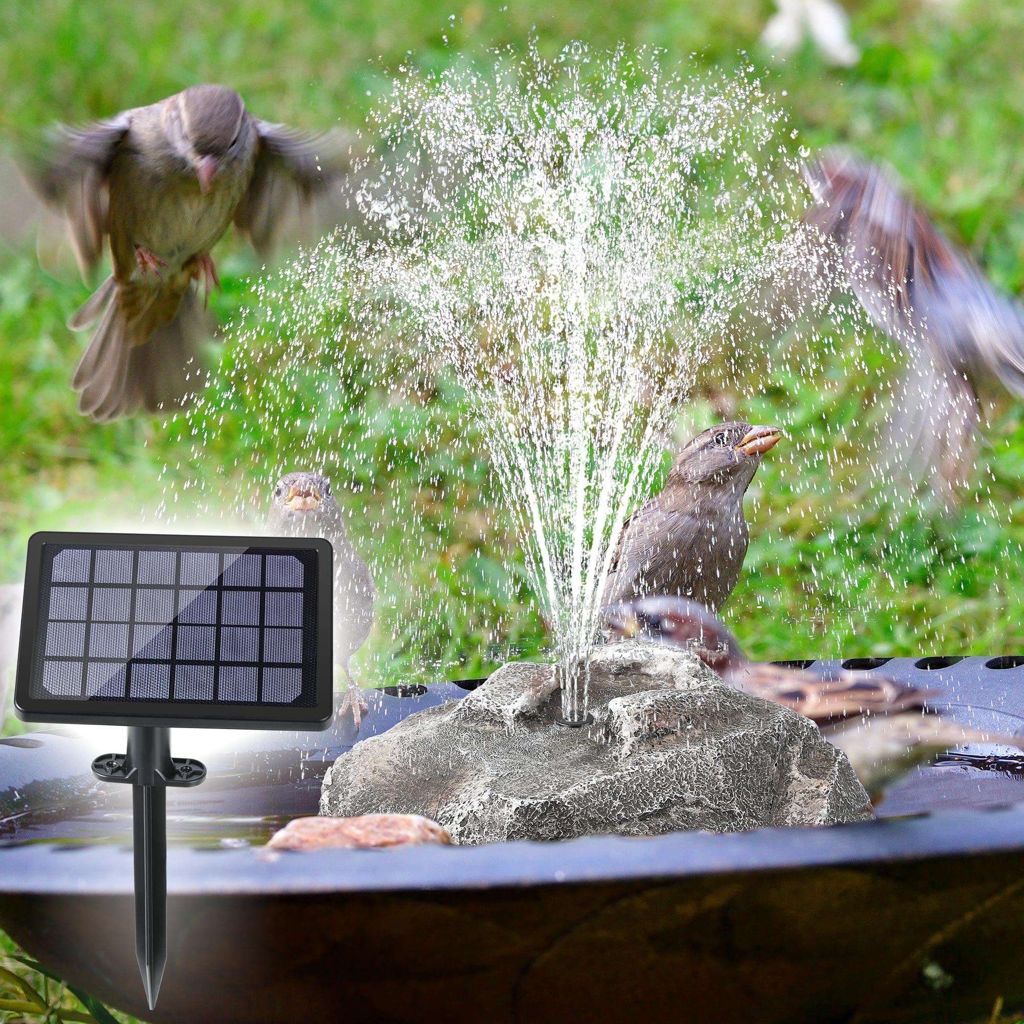 Saillong fountain held in hand to compare size and portability for easy placement