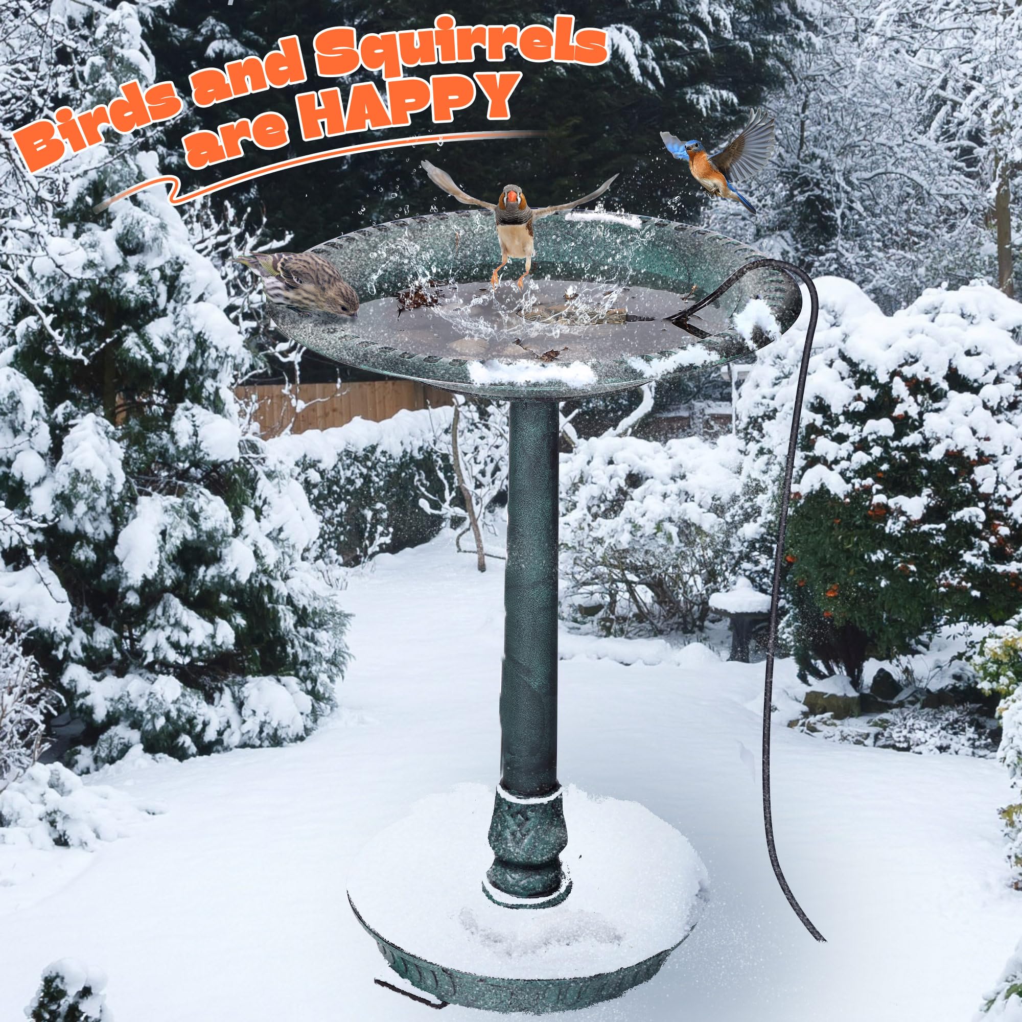 Saillong heater held in hand for scale showing compact footprint ideal for small bowls