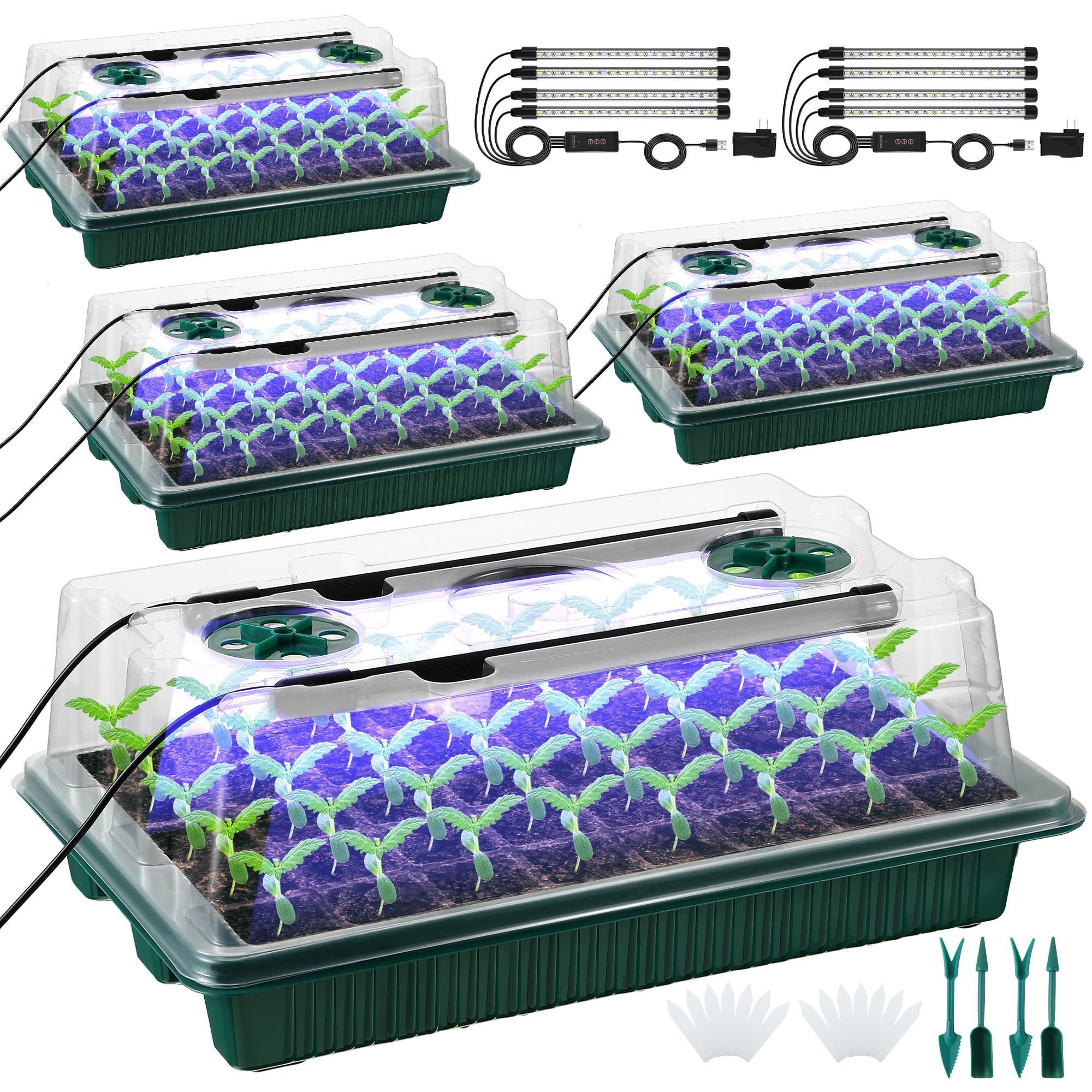 Saillong front view of full starter kit showing trays and domes for organized propagation