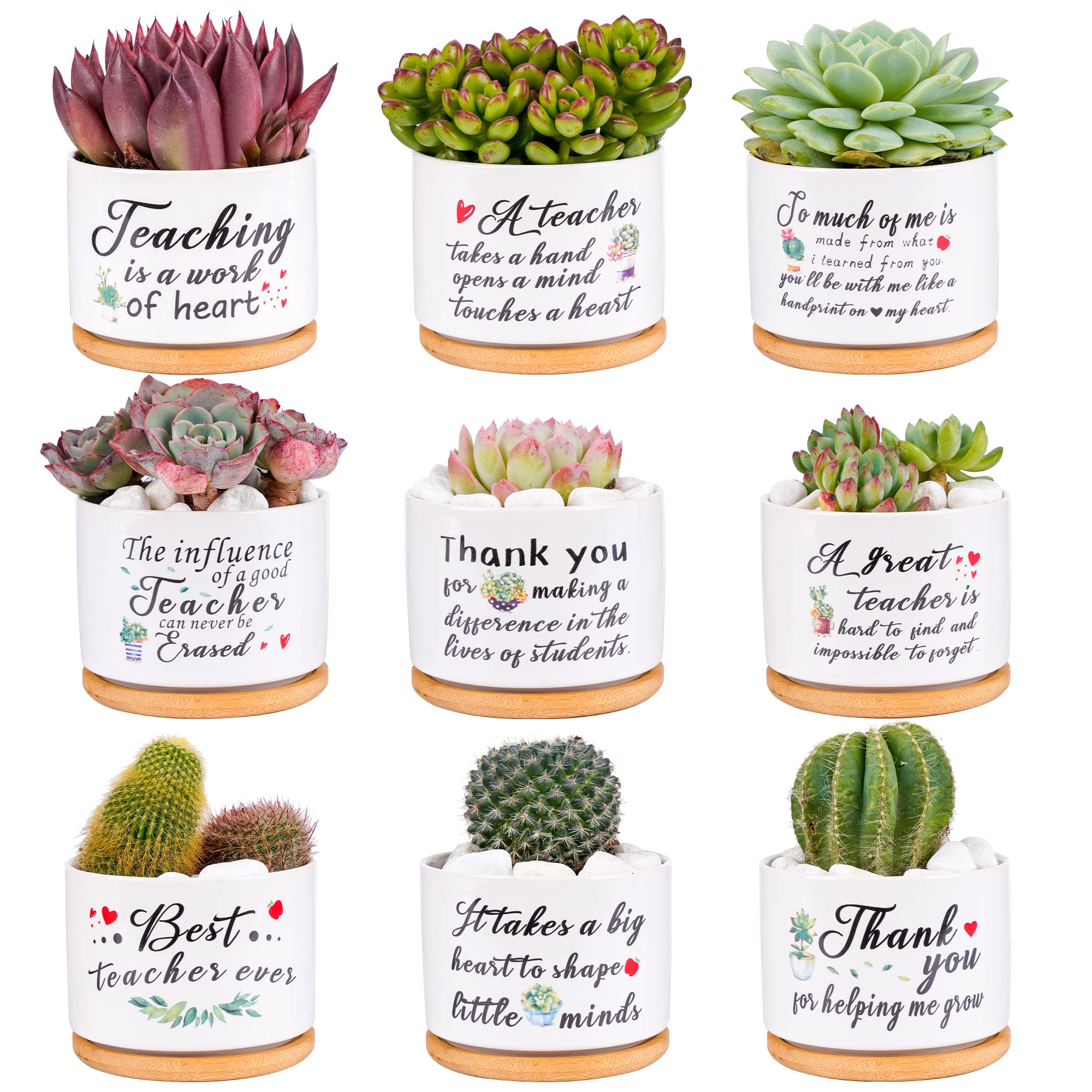 SAIWEILAI ONLINE front packaging showing nine pots ready to gift, convenient presentation
