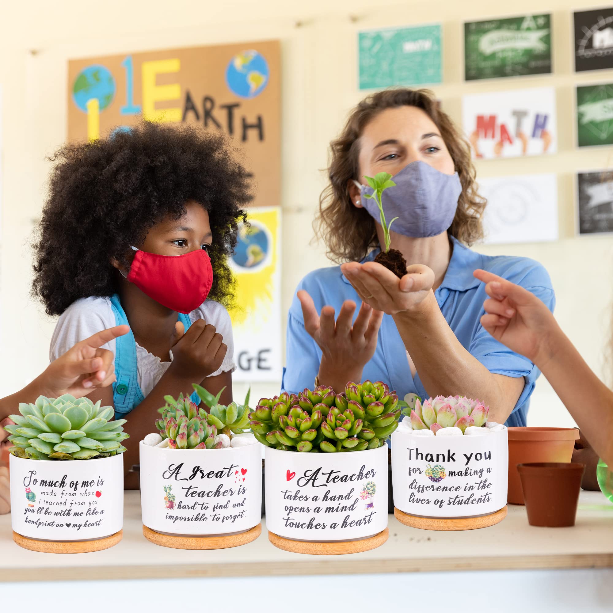 SAIWEILAI ONLINE pots displayed on a classroom shelf, adds cheerful desk decor