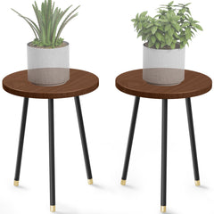 SAKSUN dual stand front view showing stable mid-century design and elevated display benefit