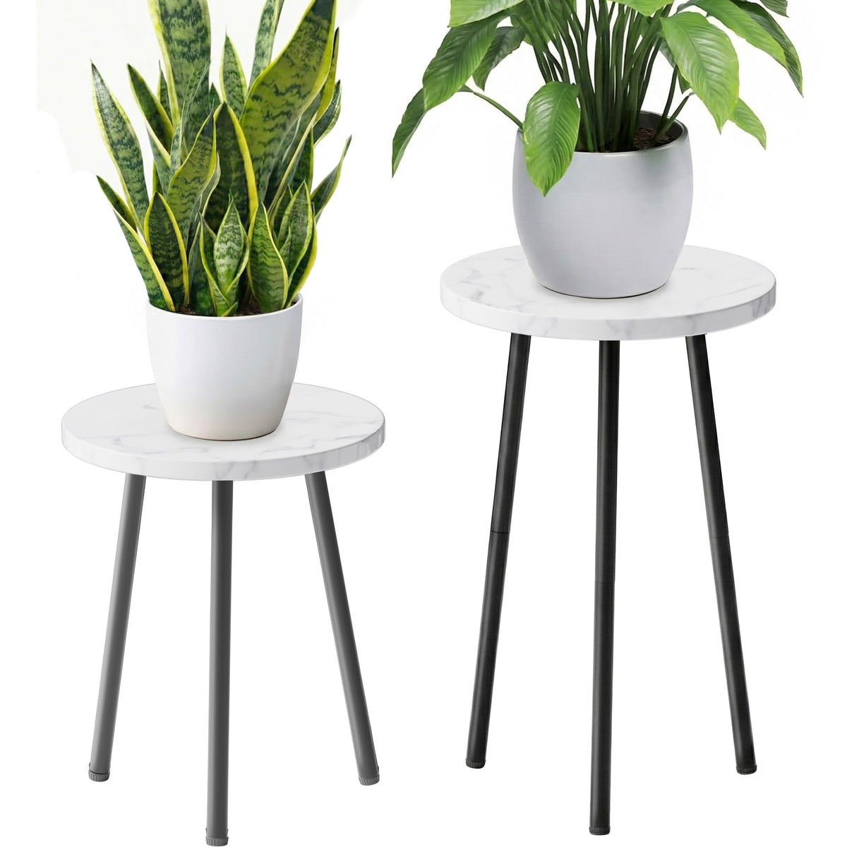 SAKSUN front view showing mid-century plant stand and balanced silhouette