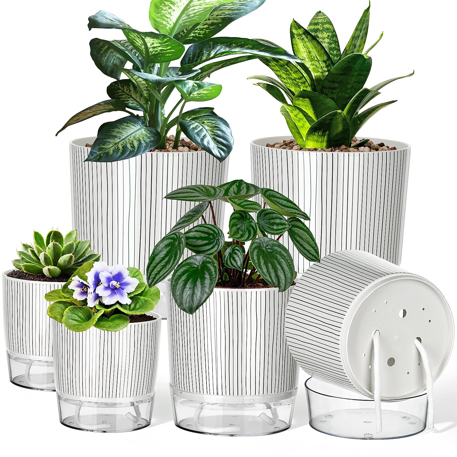 Samhe front view of six self-watering pots, stylish organization benefit