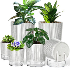 Samhe front view of six self-watering pots, stylish organization benefit