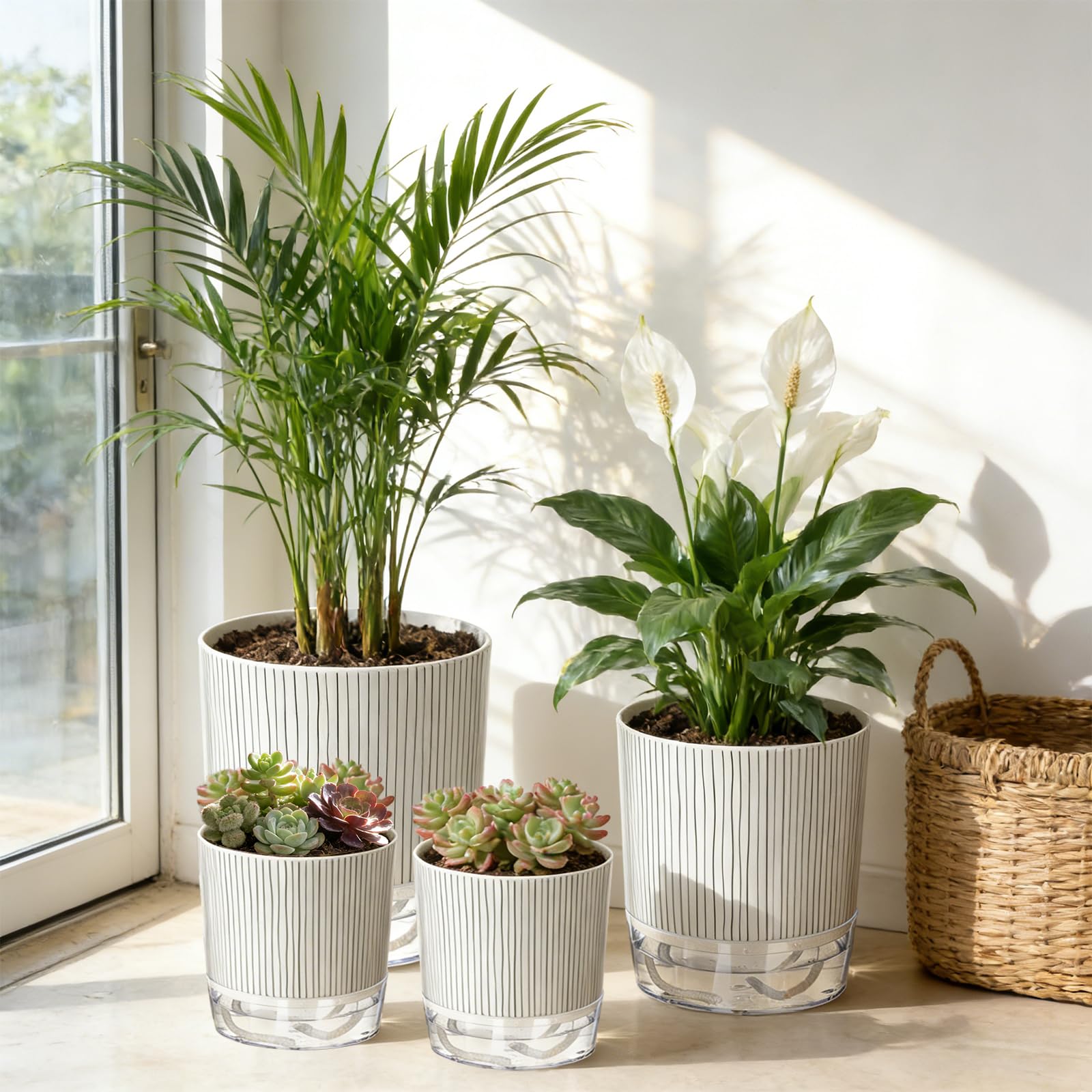 Samhe pot held in hand for scale showing compact sizing benefit