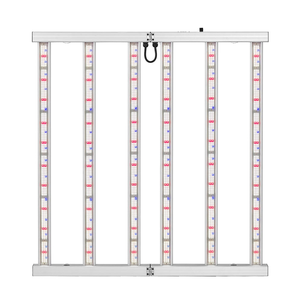 SAMPHON front view of six-bar grow light showing even canopy coverage