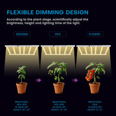 SAMPHON LED diode array detail emphasizing full-spectrum output advantage