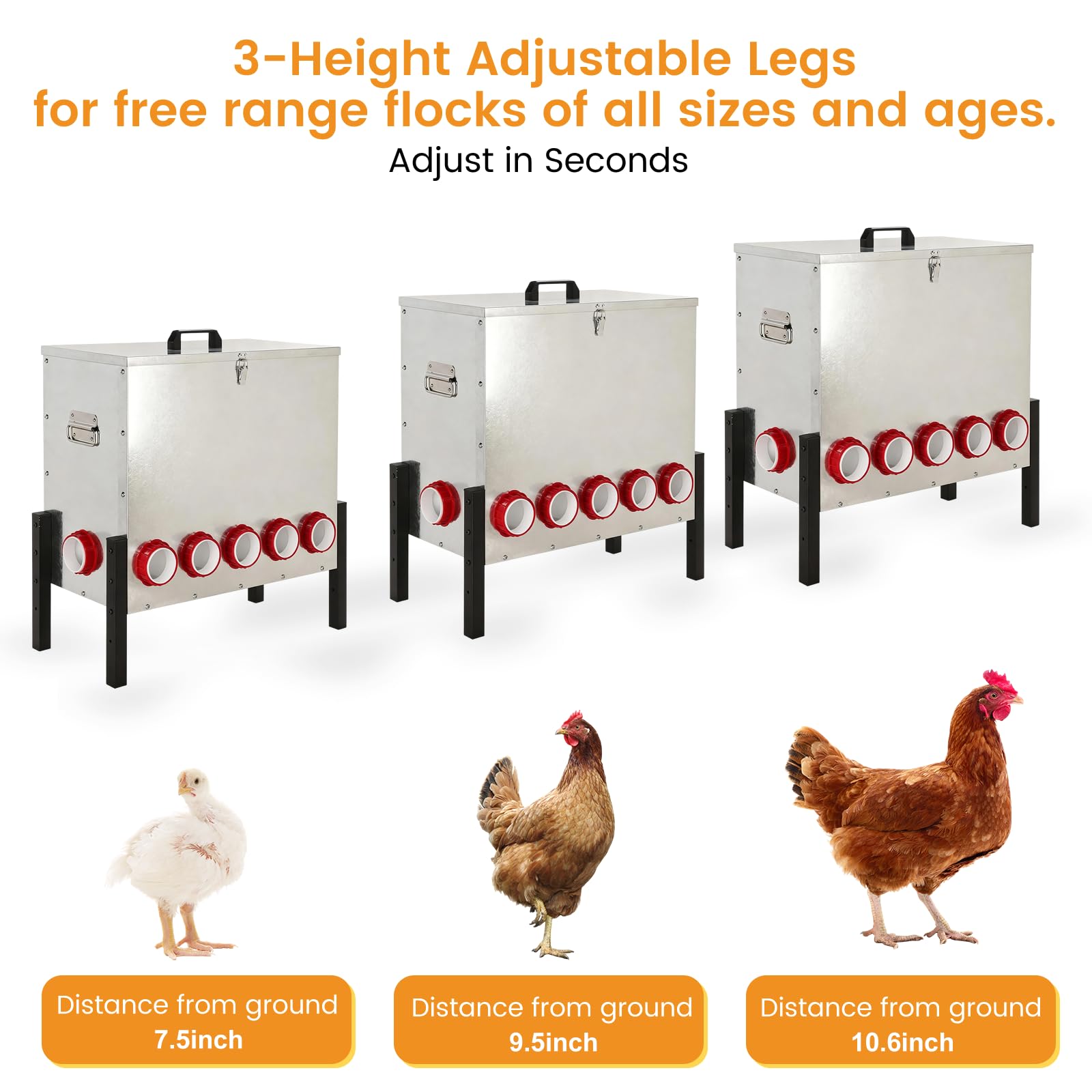 Sancunhui feeder in coop setting offering weatherproof feeding and tidy area