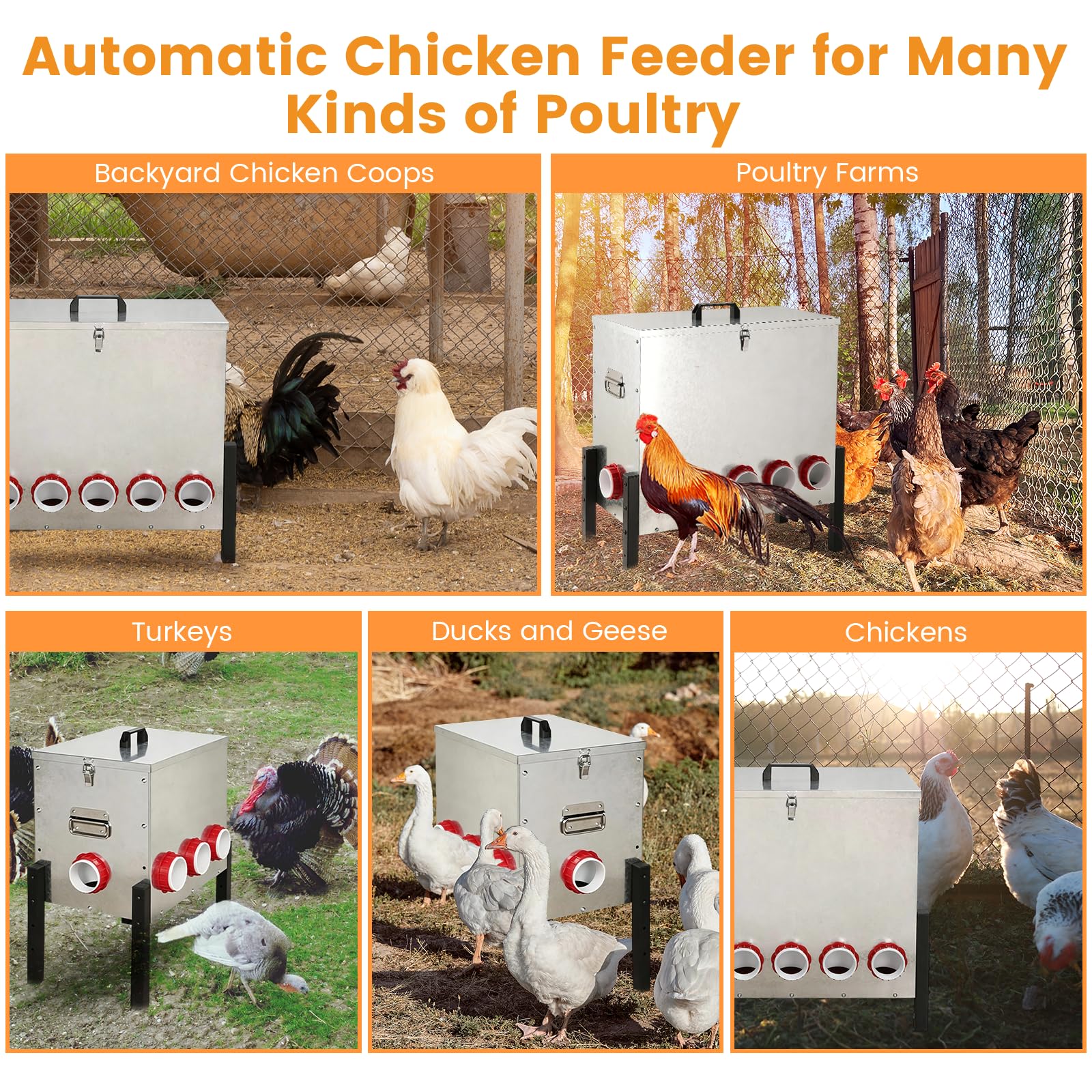 Sancunhui feeder filled to show 100 lb capacity and reduced refill frequency