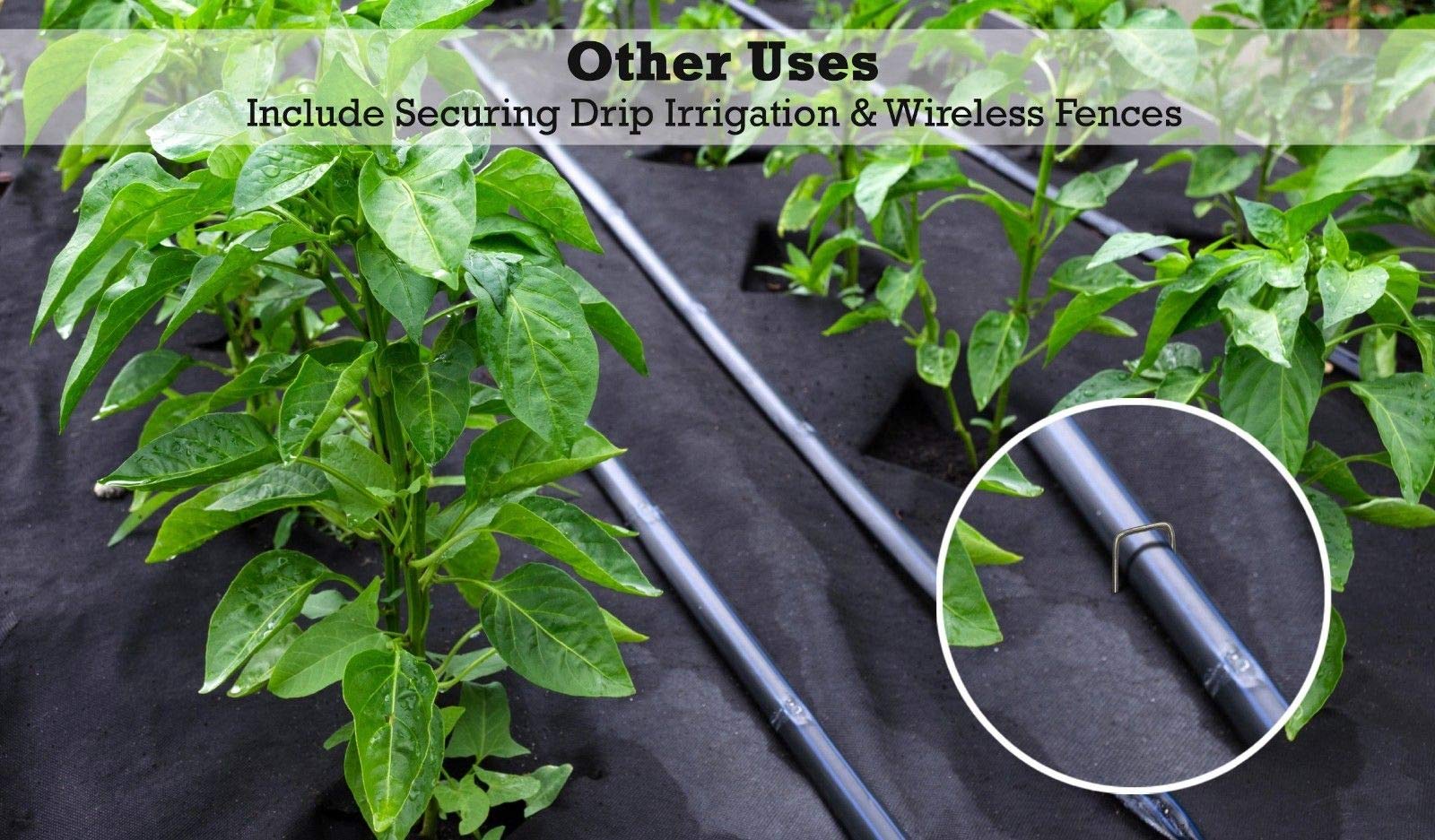 Sandbaggy staple securing irrigation tubing demonstrating secure leak prevention