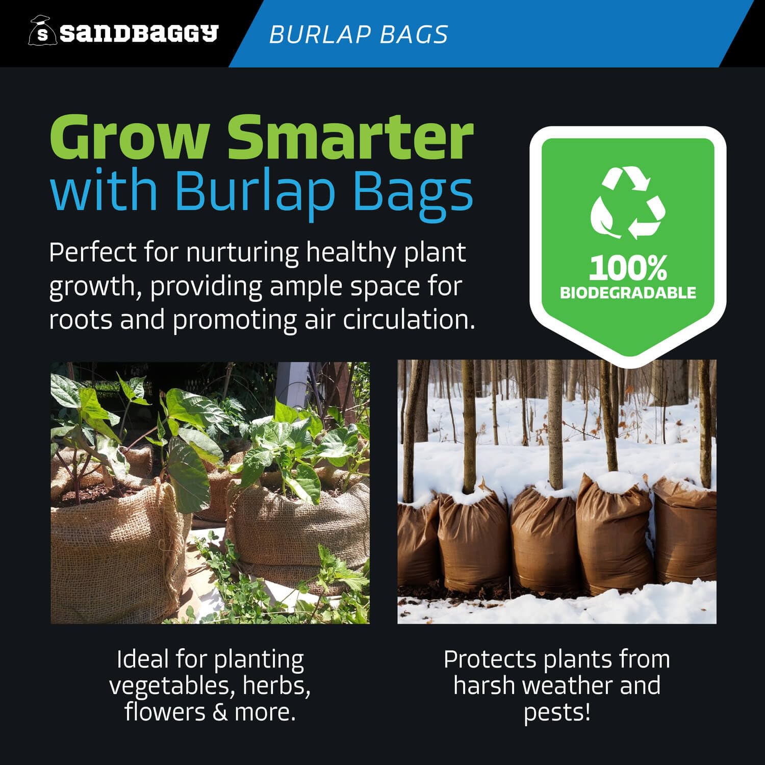 Sandbaggy wrapped around shrub protecting leaves, temporary weather shield benefit