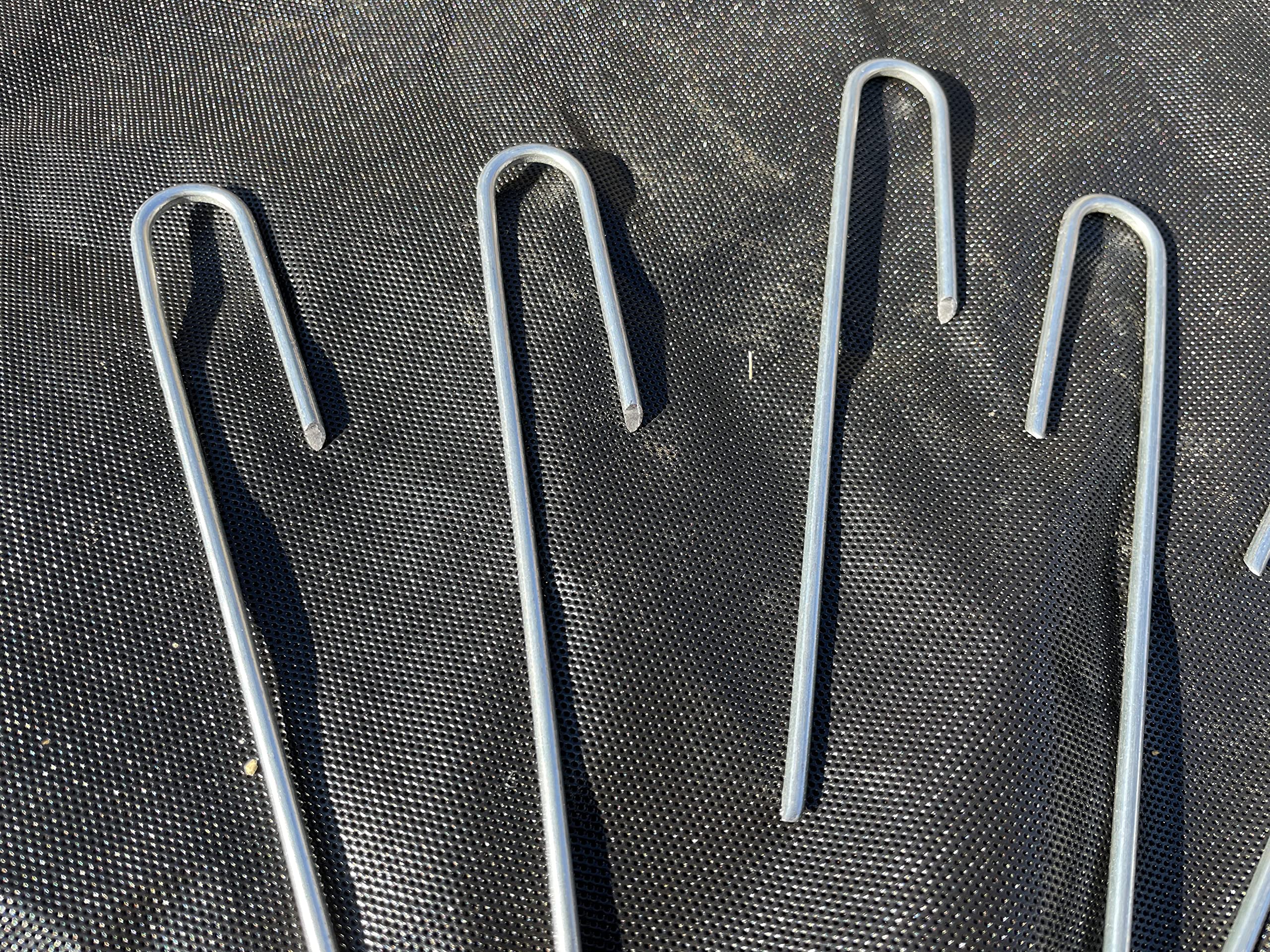 Sandbaggy stake beside ruler showing scale, clear size reference benefit