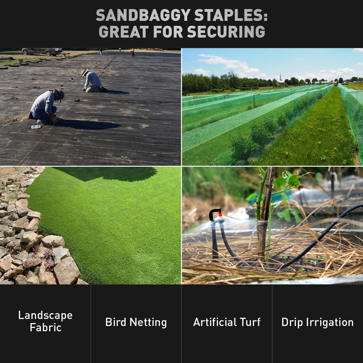 Sandbaggy staple driven into hard soil illustrating strength and reliable hold