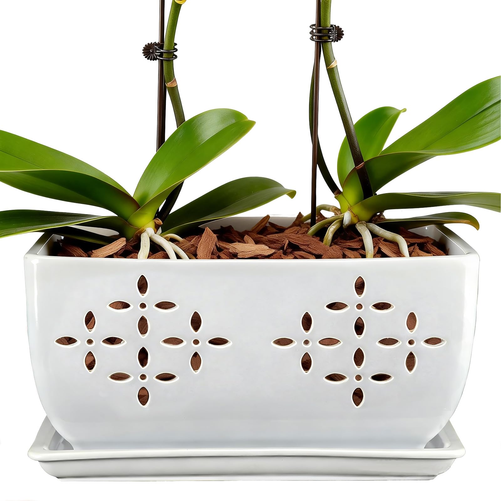 Sanmudecor front view of white orchid pot showing elegant silhouette and easy styling benefit