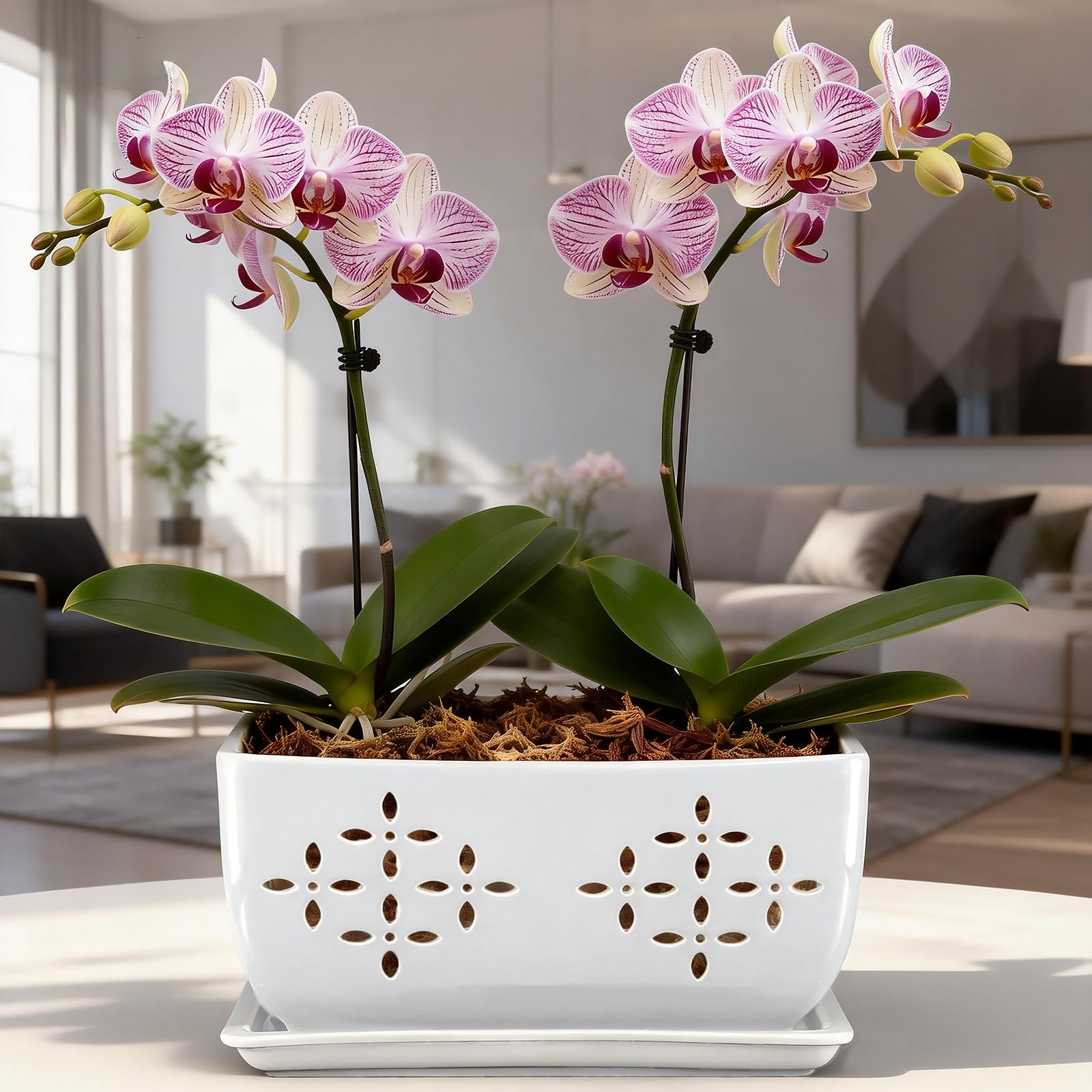 Sanmudecor planter in windowlight illustrating decorative display and bright location benefit