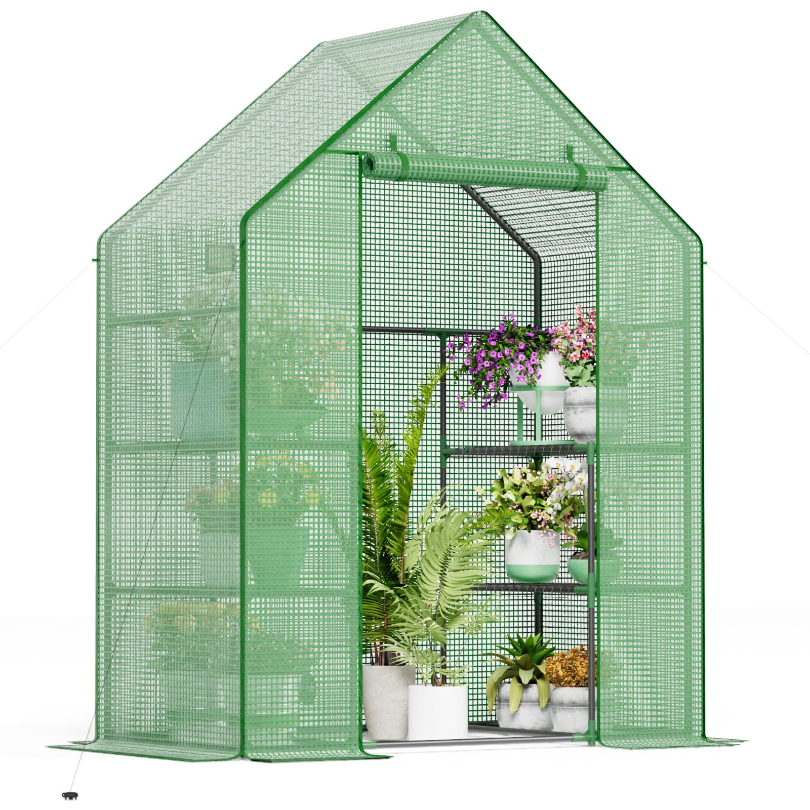 Sannwsg front view of walk-in greenhouse showing protected plants and organized shelves