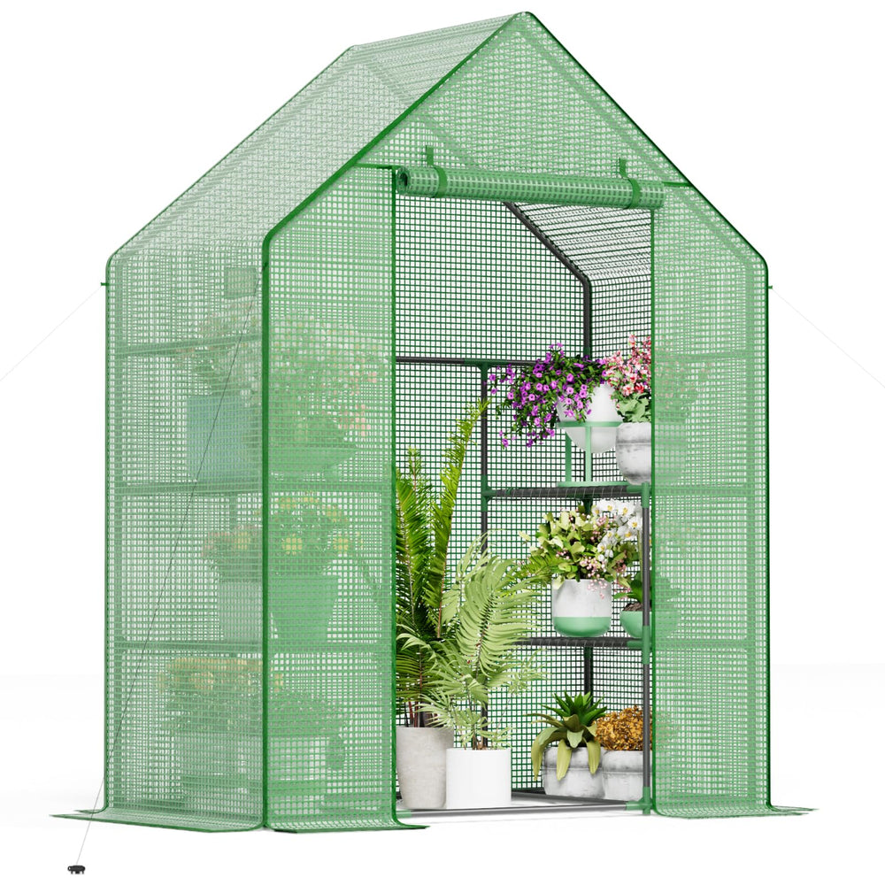 Sannwsg front view of walk-in greenhouse showing protected plants and organized shelves