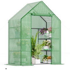 Sannwsg front view of walk-in greenhouse showing protected plants and organized shelves