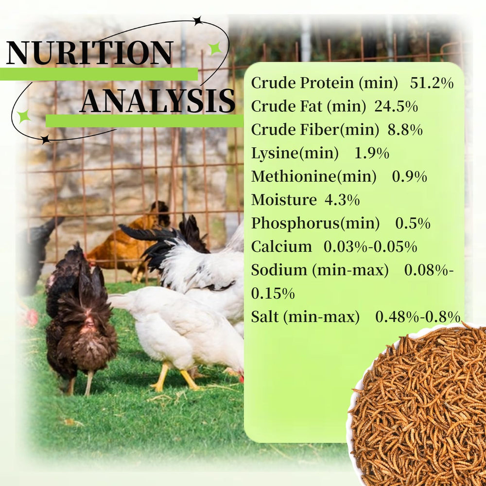 SANSECT close-up of dried mealworm texture highlighting natural protein-rich bites