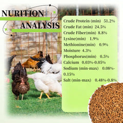 SANSECT close-up of dried mealworm texture highlighting natural protein-rich bites