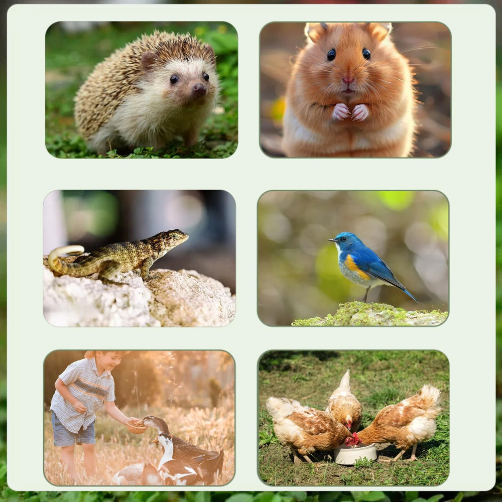 SANSECT mealworms served for a reptile highlighting supplemental protein