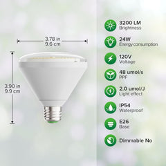 SANSI bulb installed in standard E26 fixture demonstrating easy swap-in setup and compatibility