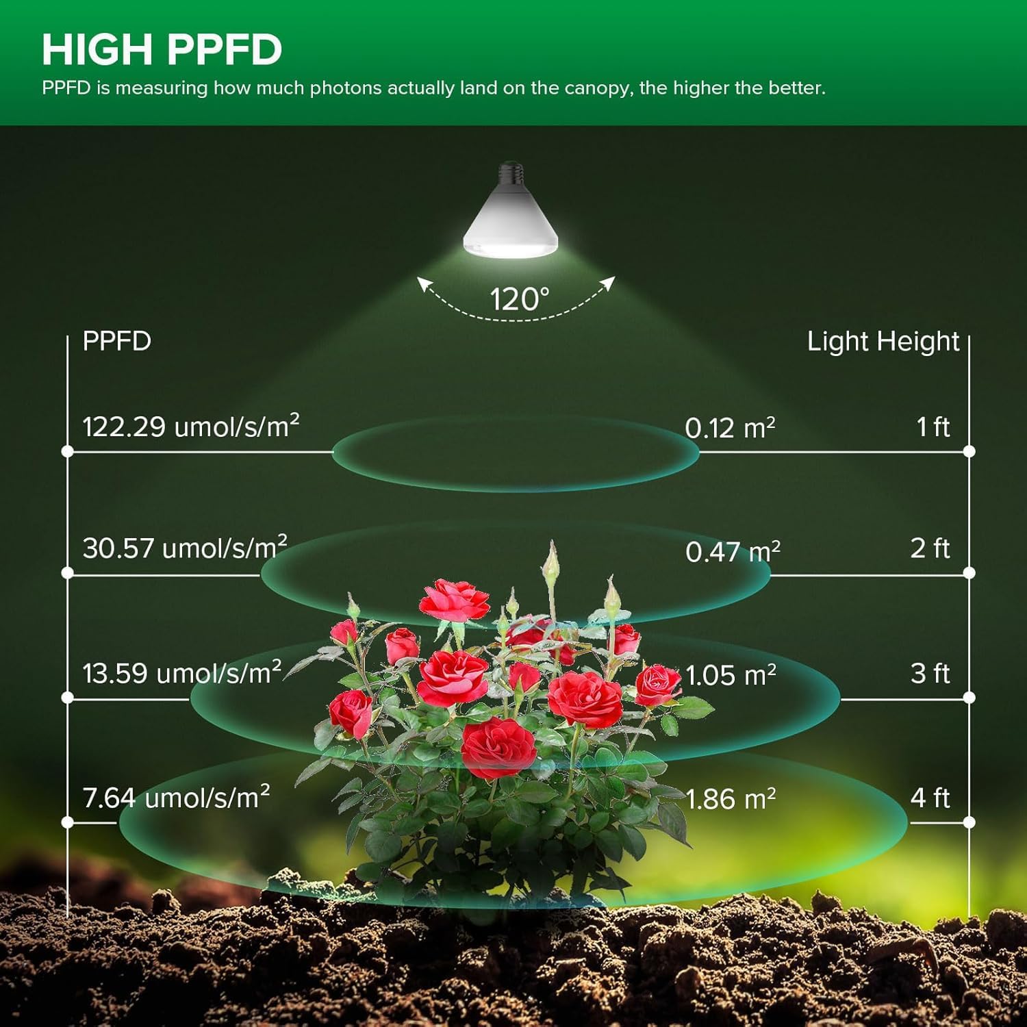 SANSI illuminating seedlings with balanced 3000K and 5000K light to support early growth