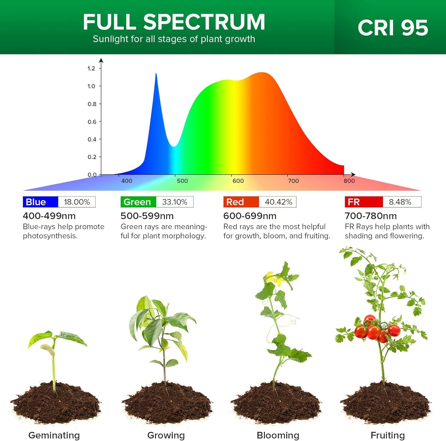 SANSI desk mounted setup illuminating seedlings for steady indoor growth