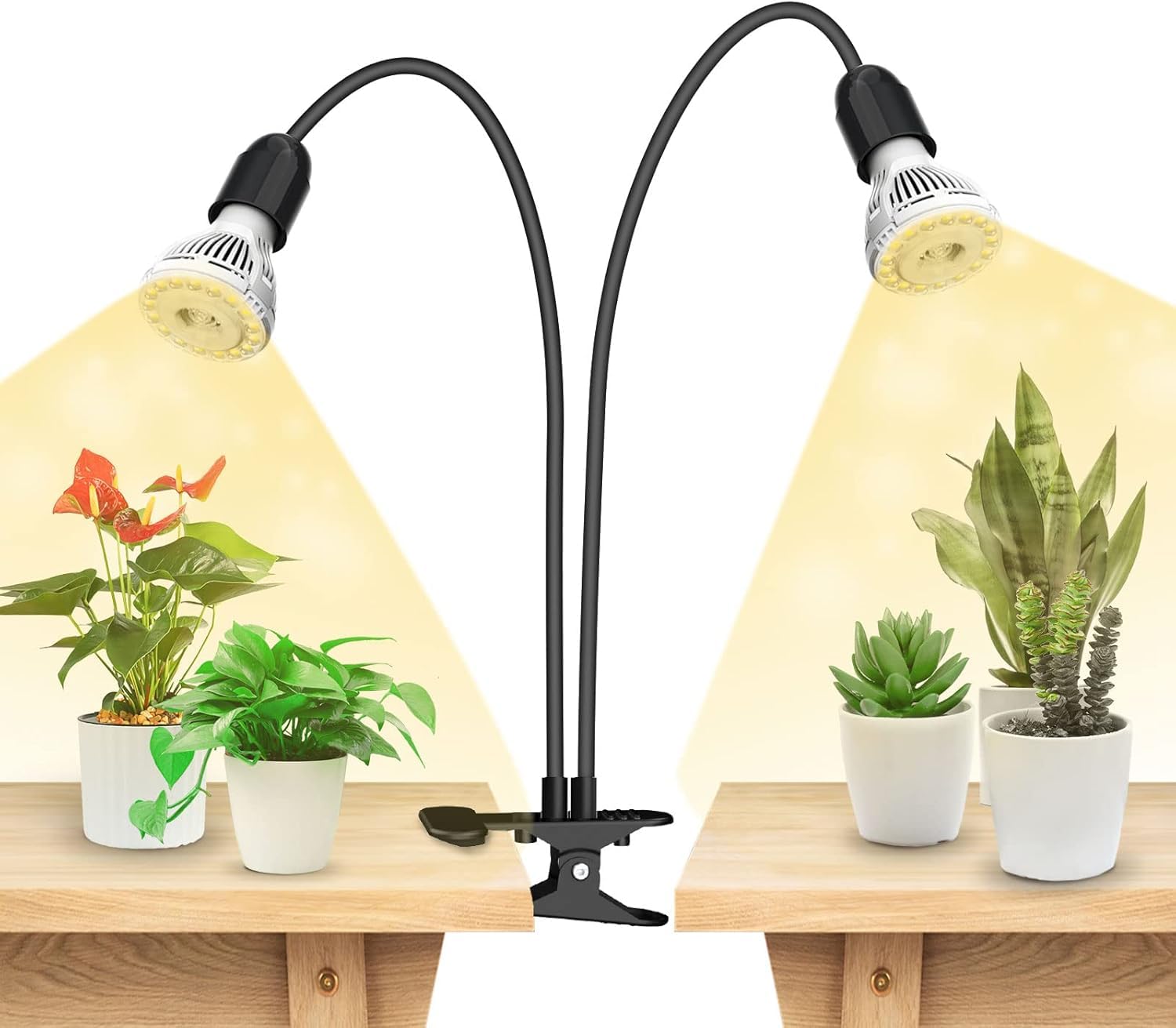 SANSI front view clamp light showing compact design and stable clamp benefit