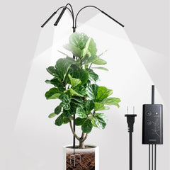 SANSI front view tall stand showing full height and stable base for tall plants