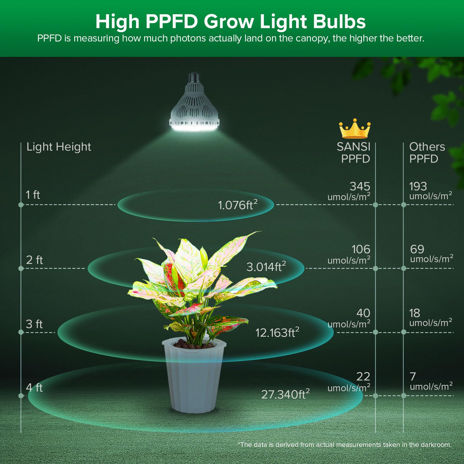 SANSI bulb in use above shelf plants illustrating fuller growth and uniform light