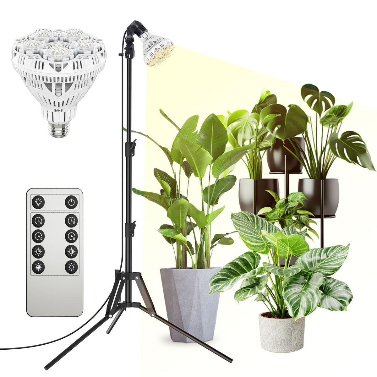 SANSI front-angle view showing full-spectrum glow and even plant coverage