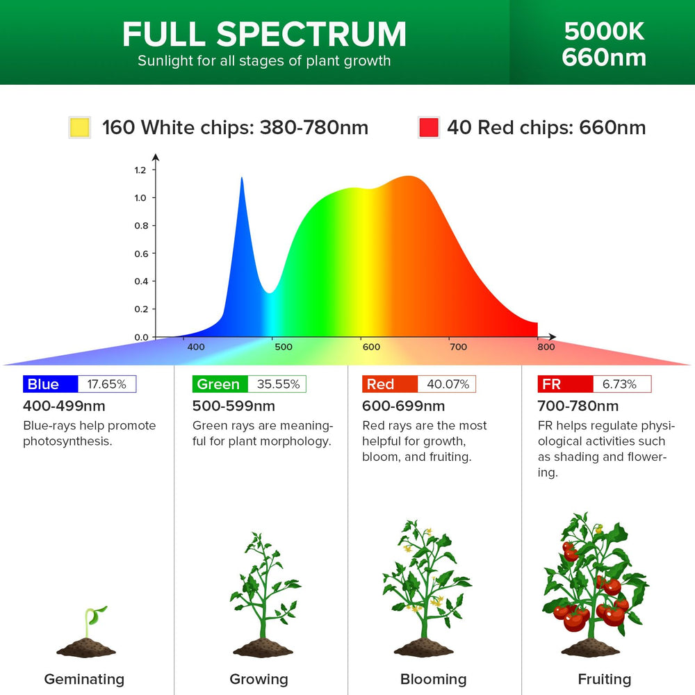 SANSI grow light beside measuring tape showing adjustable 35–64 inch height benefit