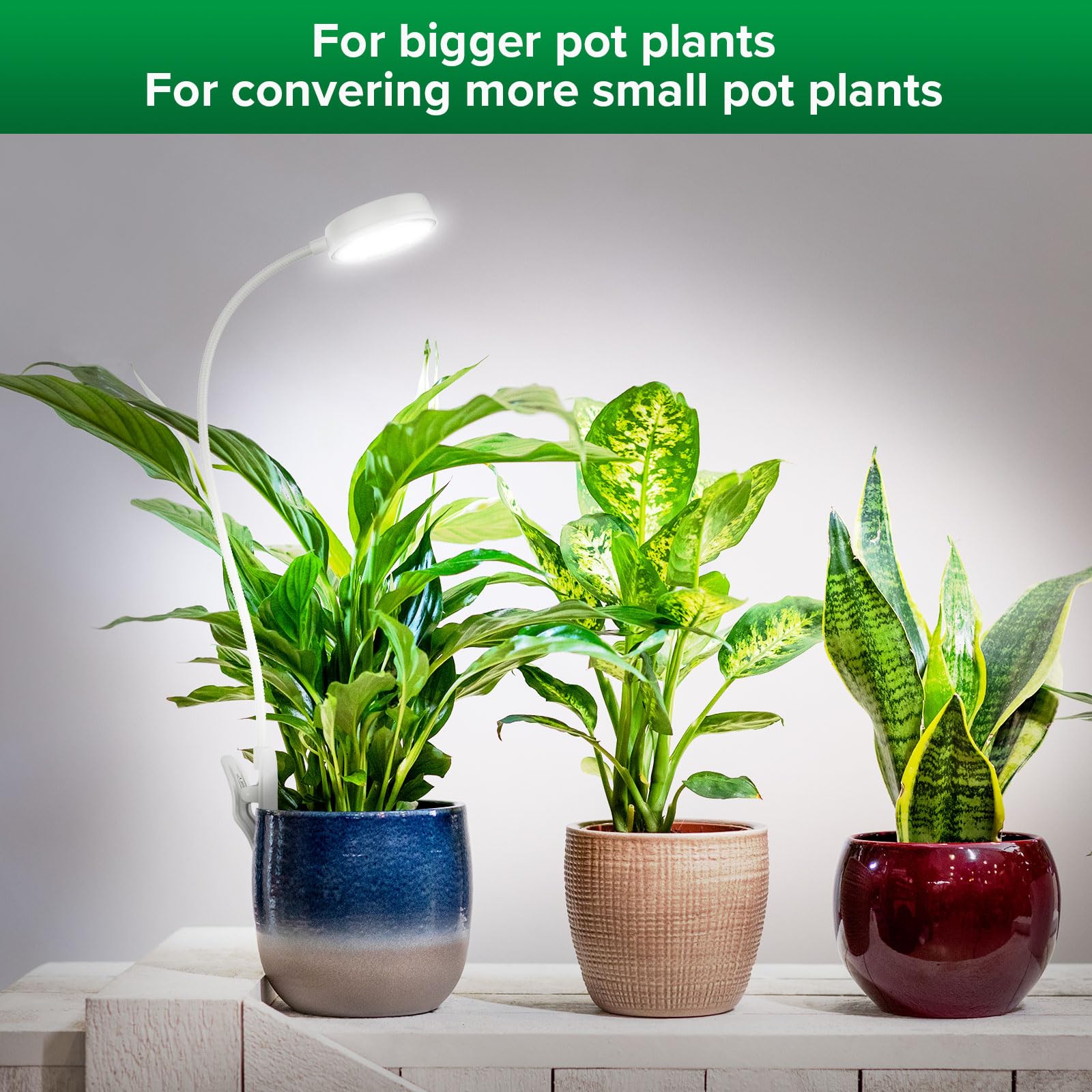 SANSI three lamps over succulents on shelf, even light coverage benefit