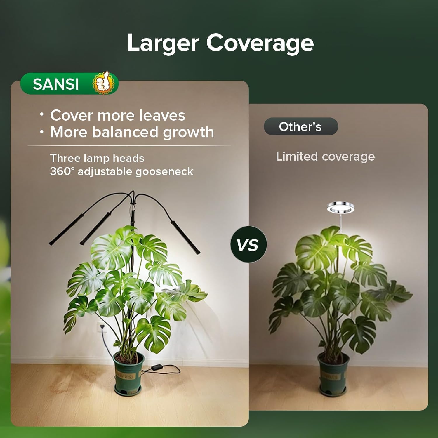 SANSI in use with bird of paradise demonstrating strong leaf coverage and growth support