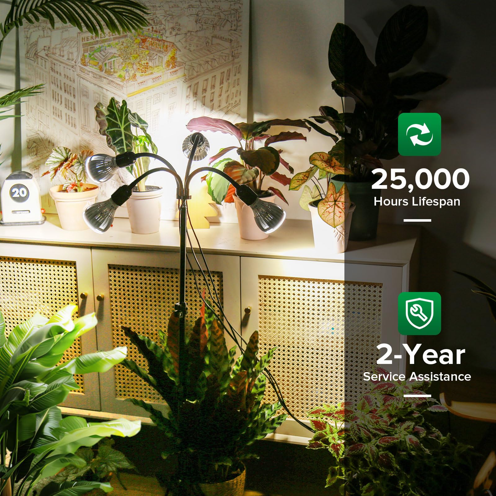 SANSI floor lamp illuminating potted houseplants showing even coverage and healthy growth