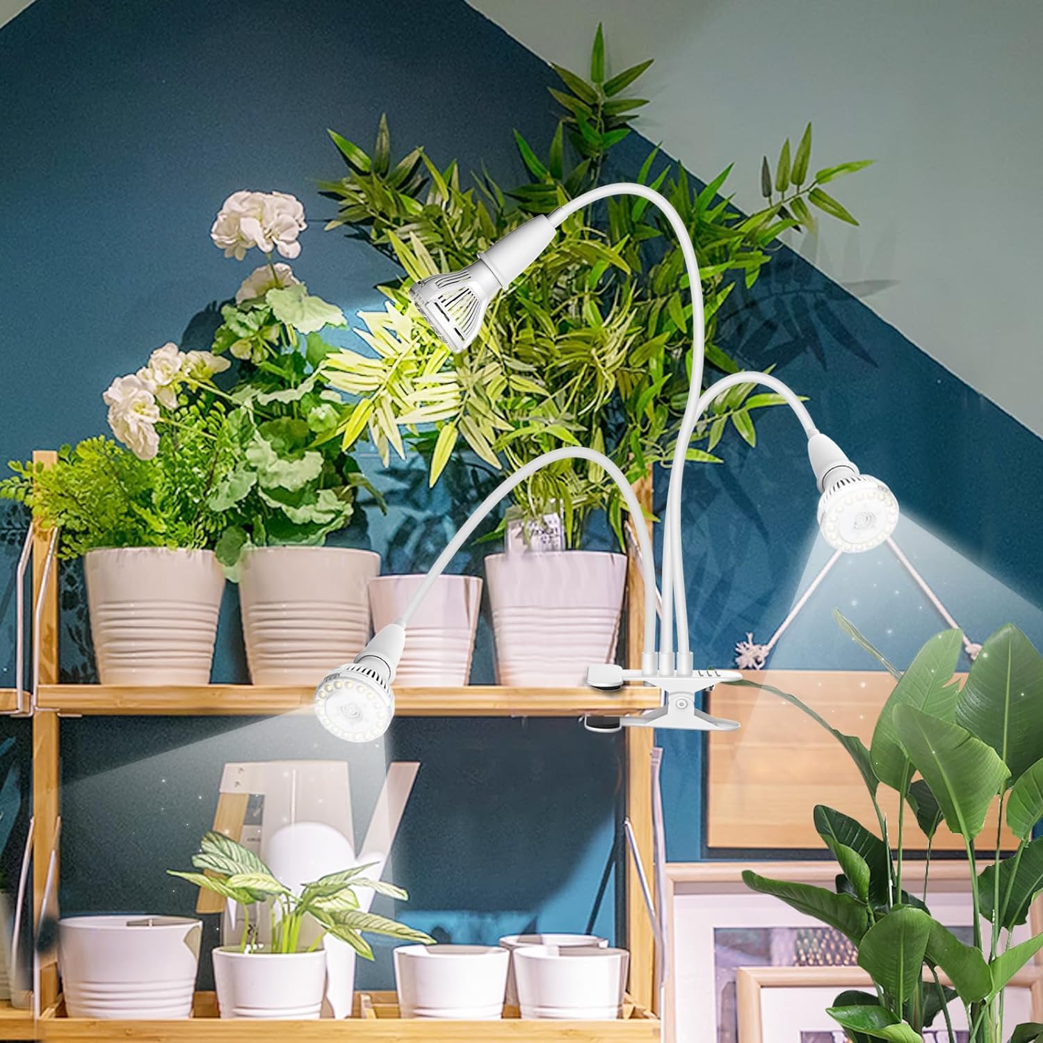 SANSI lamp illuminating seedling tray for faster growth under full spectrum benefit