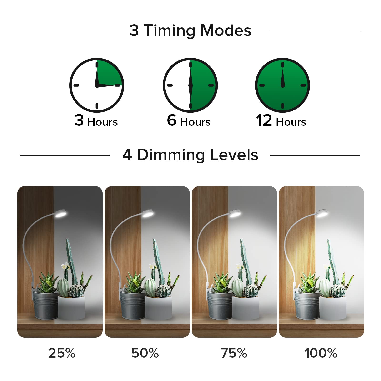 SANSI light illuminating a succulent pot to support healthy growth