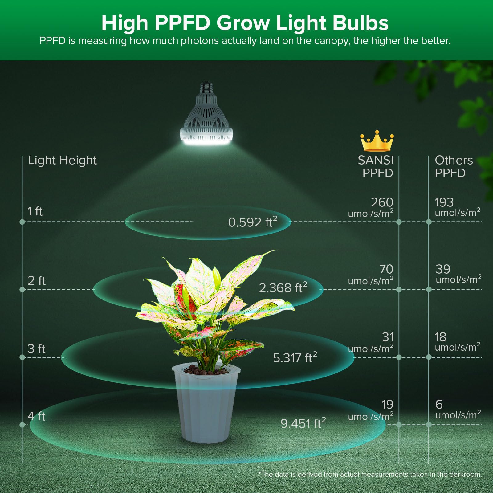SANSI bulb illuminating succulents in a tray showing brighter growth support benefit