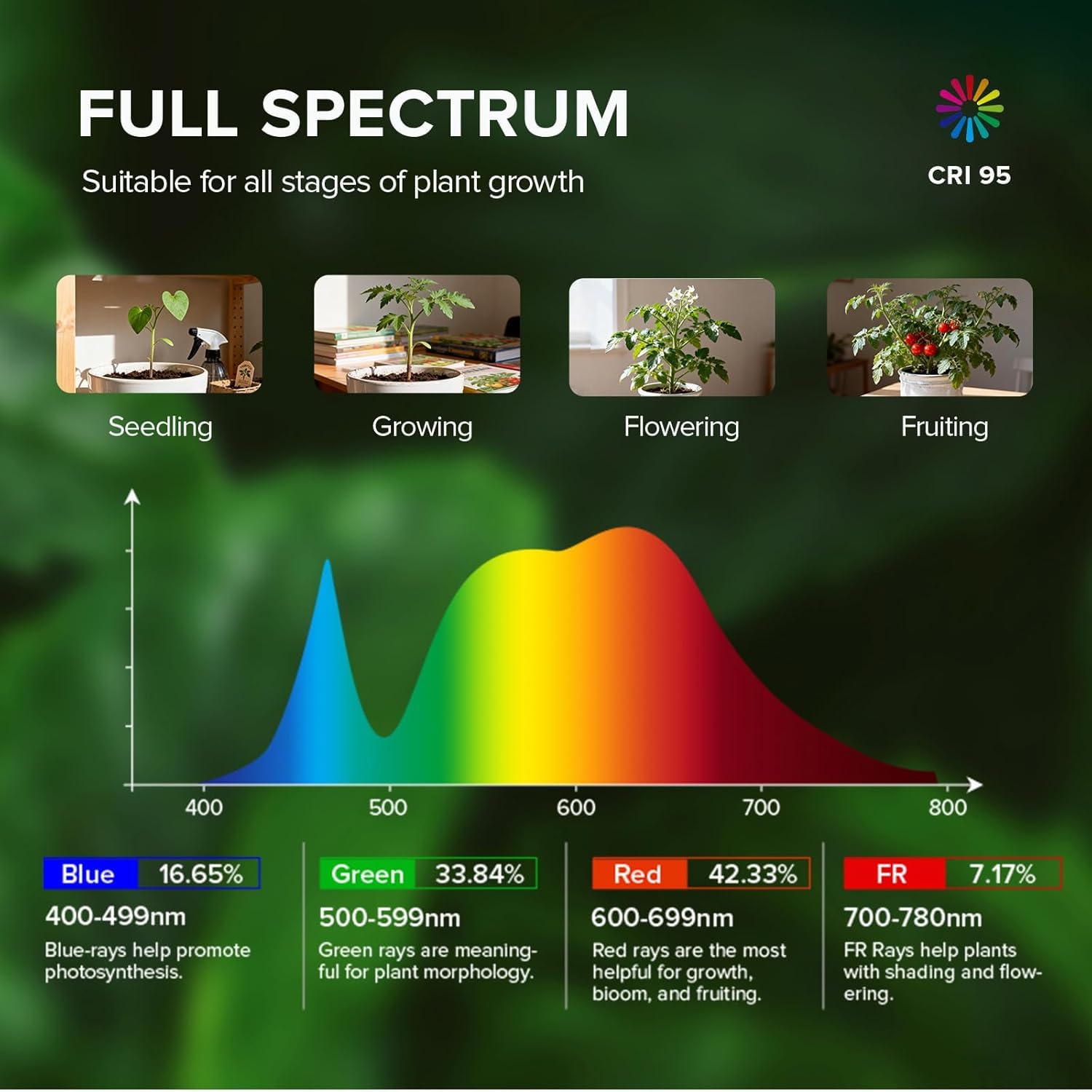 SANSI scale comparison with chair to show 79–90 inch reach for tall indoor plants