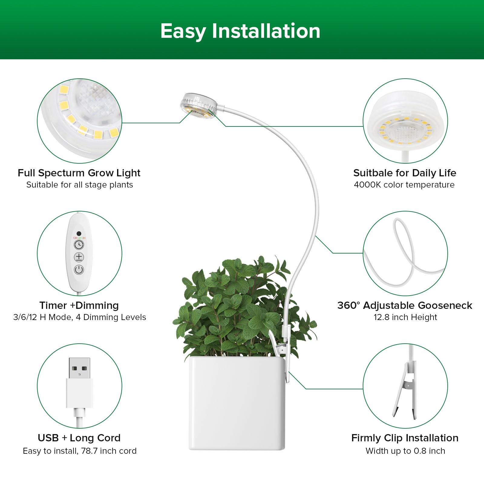 SANSI six-pack layout showing multiple lights for multi-plant coverage