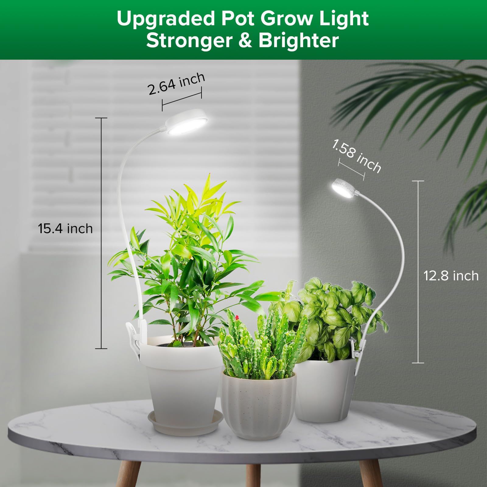 SANSI lamp beside saucer for scale, compact footprint saves space